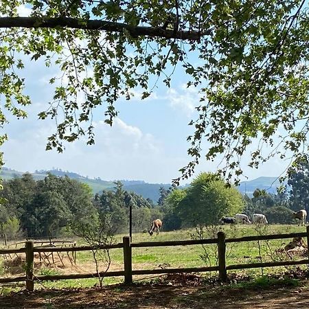 Curryʼs Post Yellowwoods Farm - Willoughbys Cottage And Old Stables Cottage מראה חיצוני תמונה