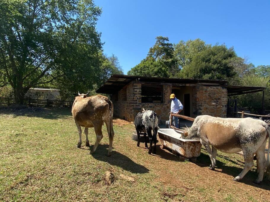 Curryʼs Post Yellowwoods Farm - Willoughbys Cottage And Old Stables Cottage מראה חיצוני תמונה