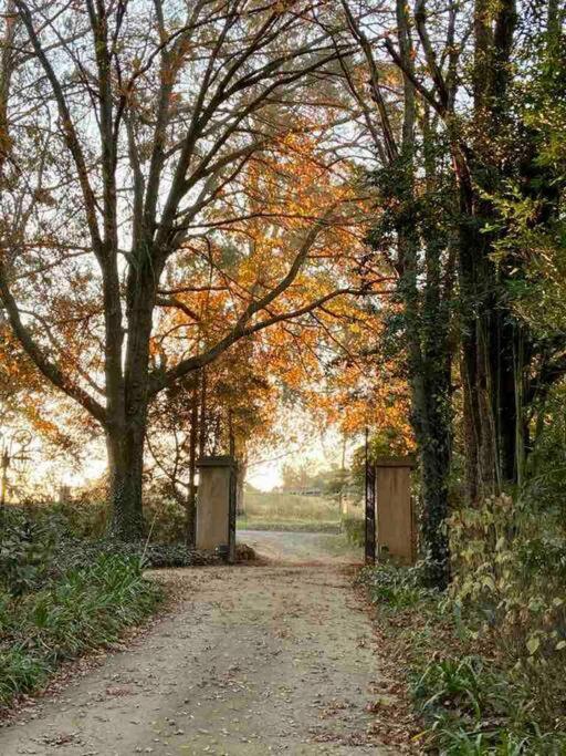 Curryʼs Post Yellowwoods Farm - Willoughbys Cottage And Old Stables Cottage מראה חיצוני תמונה