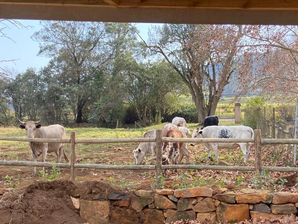 Curryʼs Post Yellowwoods Farm - Willoughbys Cottage And Old Stables Cottage מראה חיצוני תמונה