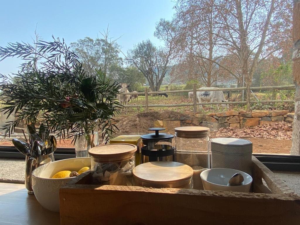 Curryʼs Post Yellowwoods Farm - Willoughbys Cottage And Old Stables Cottage מראה חיצוני תמונה